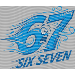 sixty seven-SS 285